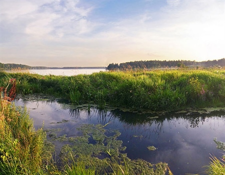 U.S. Wetlands and Waterways to Gain Additional Protections