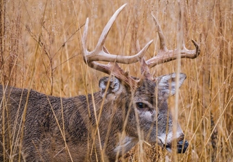 NWR access plan includes more hunting at PA's Cherry Valley; Comment period open now