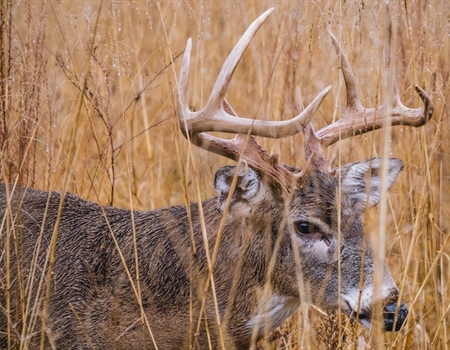 NWR access plan includes more hunting at PA's Cherry Valley; Comment period open now