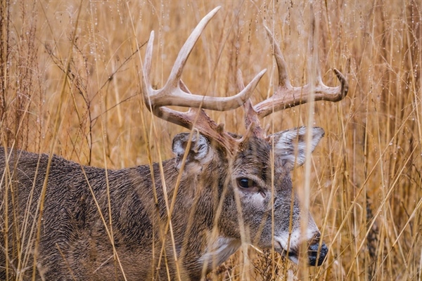 NWR access plan includes more hunting at PA's Cherry Valley; Comment period open now