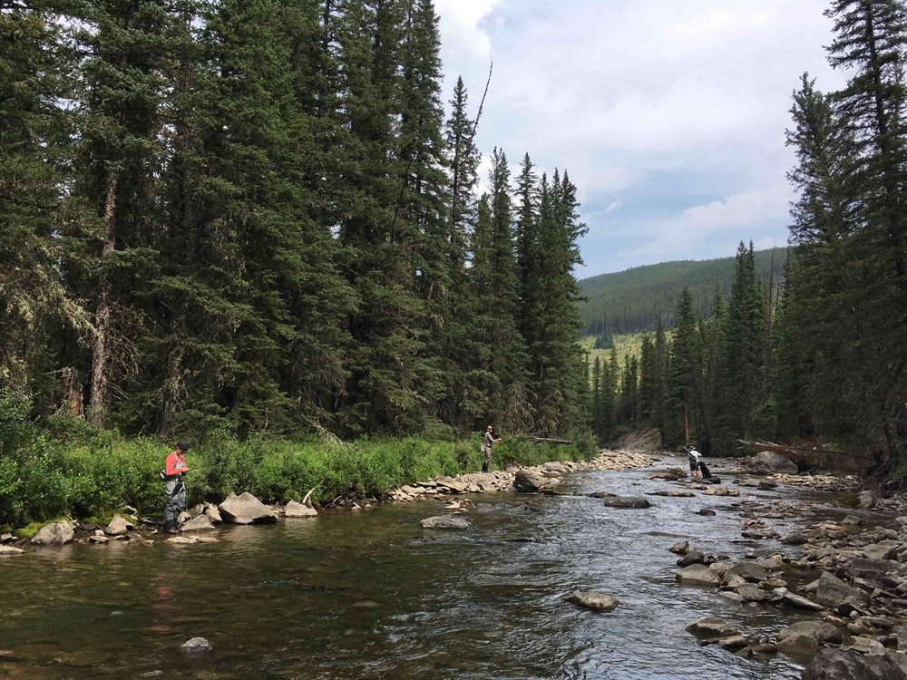 Alberta BHA Comments on Usage Fees for Kananaskis Parks