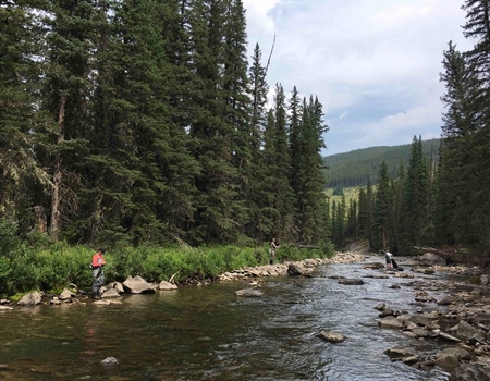 Alberta BHA Comments on Usage Fees for Kananaskis Parks
