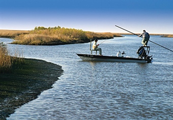 Southeast Chapter Supports LDWF’s Proposed License and Fee Changes