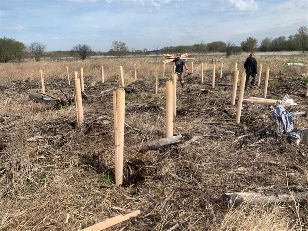 University of Wisconsin Stevens Point Adopts the Dewey Marsh Wildlife Area