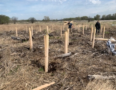 University of Wisconsin Stevens Point Adopts the Dewey Marsh Wildlife Area