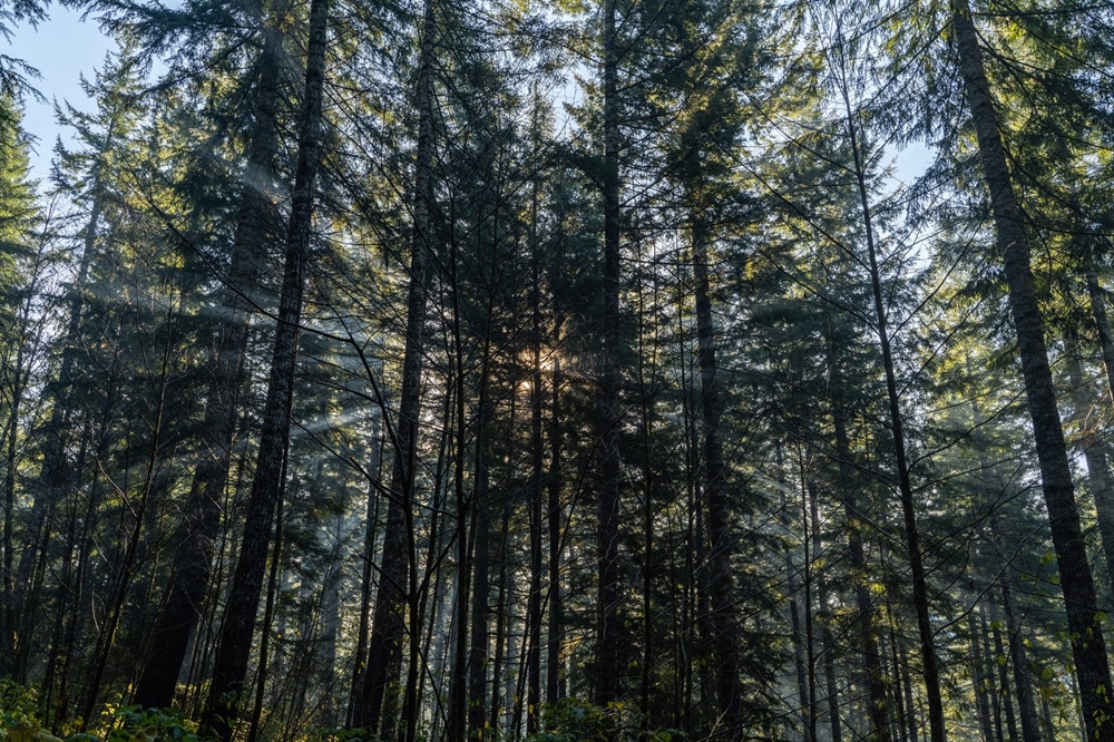 Administration’s ‘America the Beautiful’ Plan Focuses on Collaboration, Transparency, Backcountry