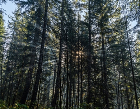 Administration’s ‘America the Beautiful’ Plan Focuses on Collaboration, Transparency, Backcountry