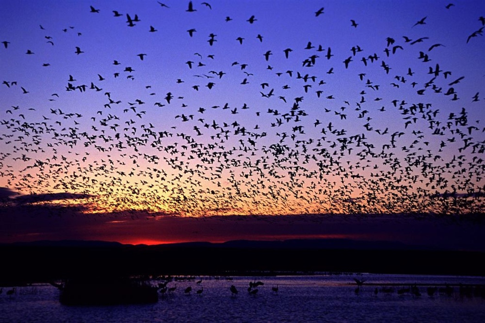 BHA Cheers New Hunting and Fishing Opportunities Proposed for National Wildlife Refuges
