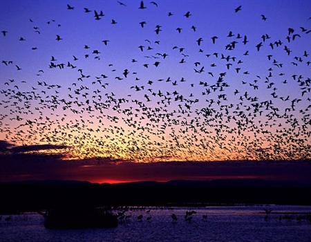 BHA Cheers New Hunting and Fishing Opportunities Proposed for National Wildlife Refuges