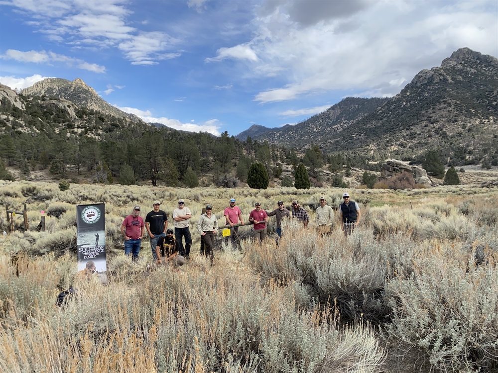 CA Chapter Tackles Riparian Restoration in Sierra Foothills