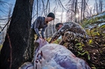 Eat Wild, Live Free and Conserve