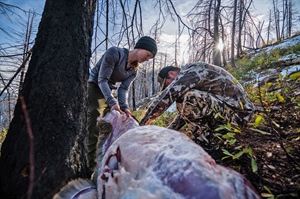 Eat Wild, Live Free and Conserve
