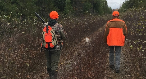 Maine Sunday Hunting Update