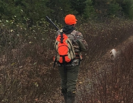 Maine Sunday Hunting Update