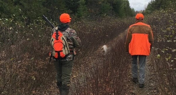 Maine Sunday Hunting Update