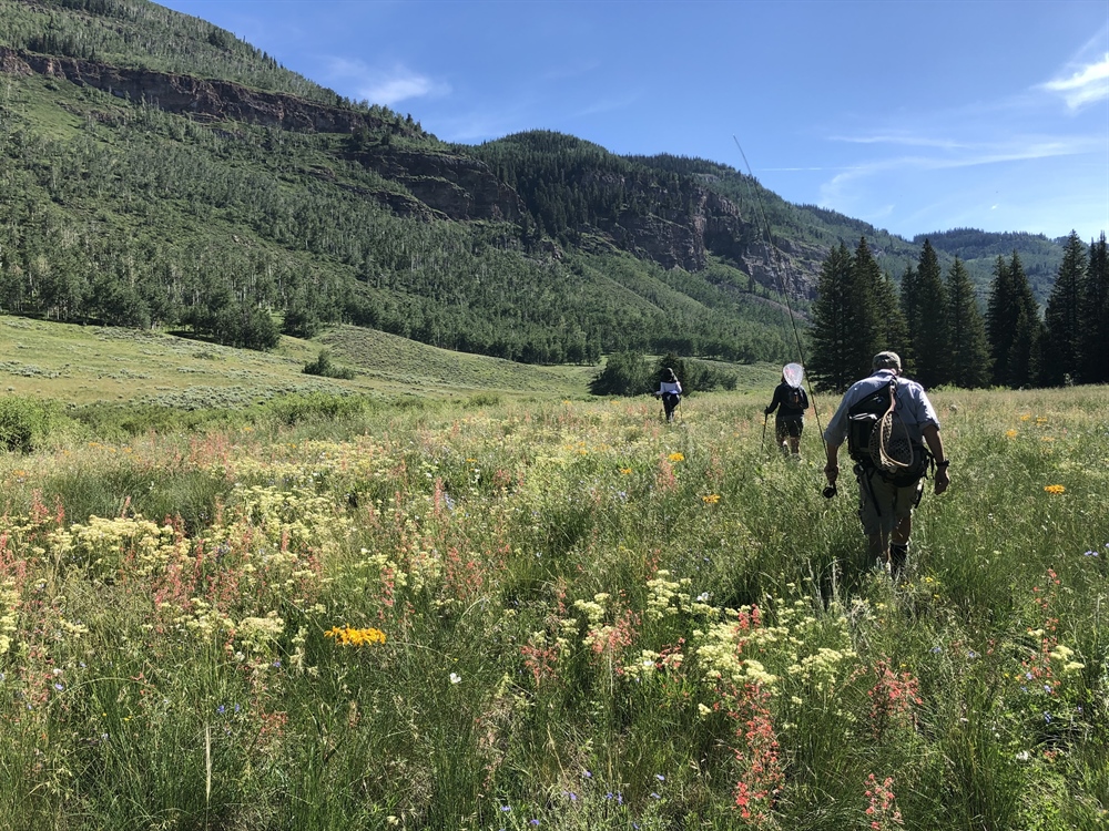 Colorado BHA Q2 2021 Update