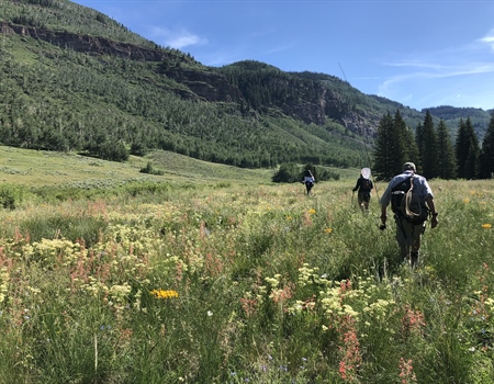 Colorado BHA Q2 2021 Update