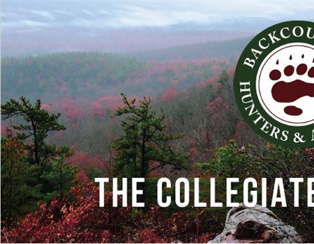 The Collegiate Quarterly: A Light at the End of the Tunnel