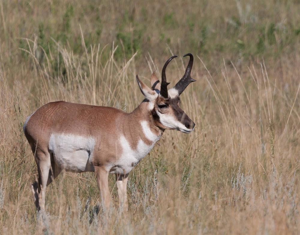 Administration’s New Infrastructure Plan Supports Conservation, Economy