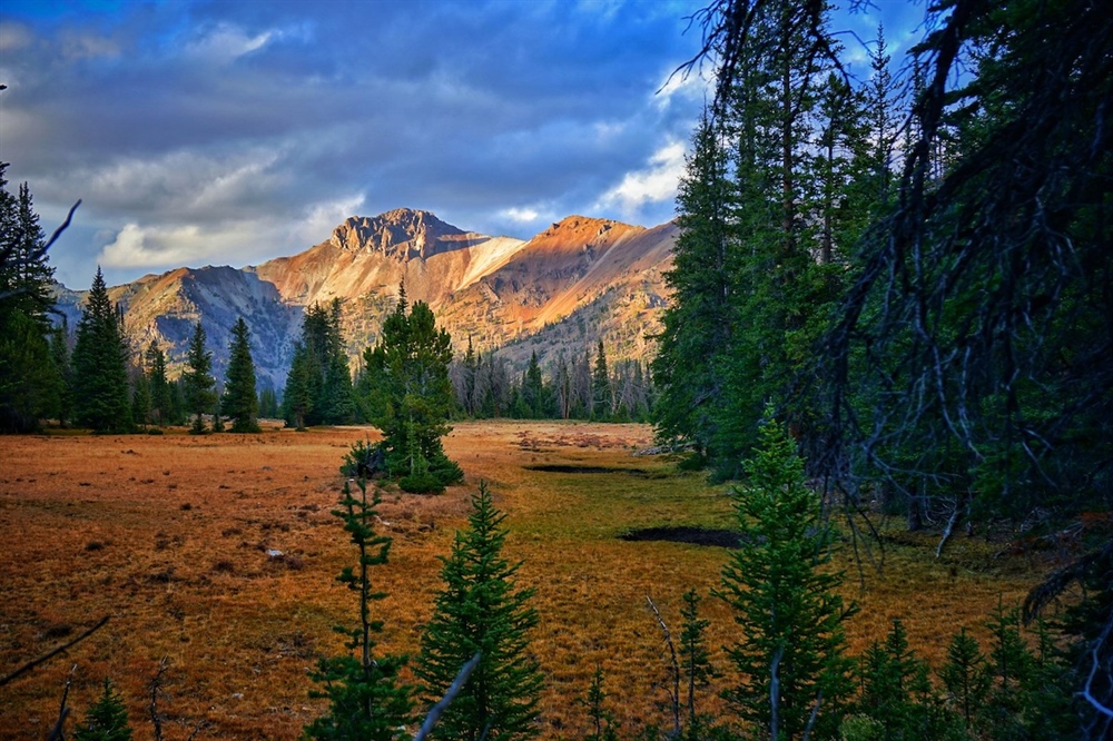 Backcountry Beat, March 2021