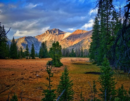 Backcountry Beat, March 2021