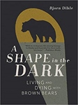 A Shape in the Dark by Bjorn Dihle