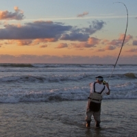 Policy Primer - UPDATE on Striped Bass Management