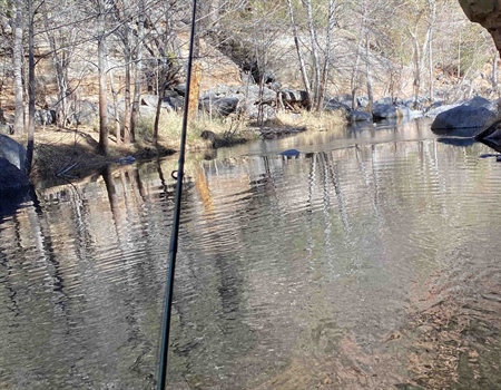Why Californians Should Support H.R. 803 "Protecting America’s Wilderness and Public Lands"