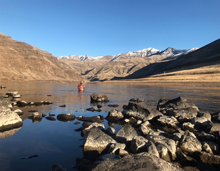 Restore Our Salmon and Steelhead