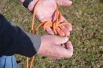 Knots for Wilderness Campers
