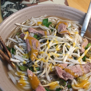 Vietnamese Venison Pho