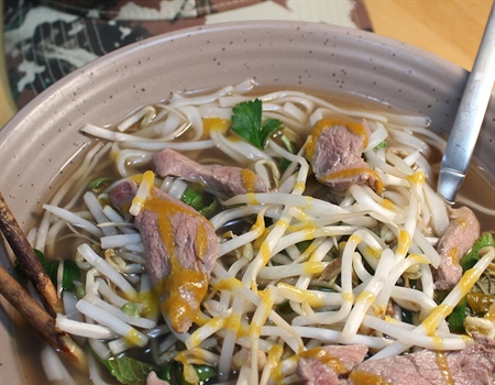 Vietnamese Venison Pho