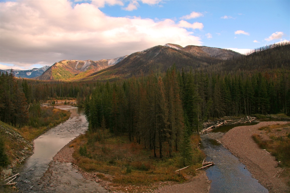 LETTER: MTBHA supports reestablishment of native species in the North Fork