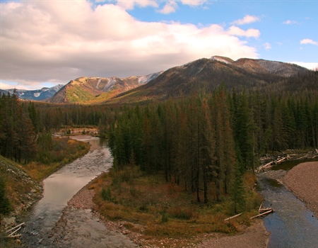 LETTER: MTBHA supports reestablishment of native species in the North Fork
