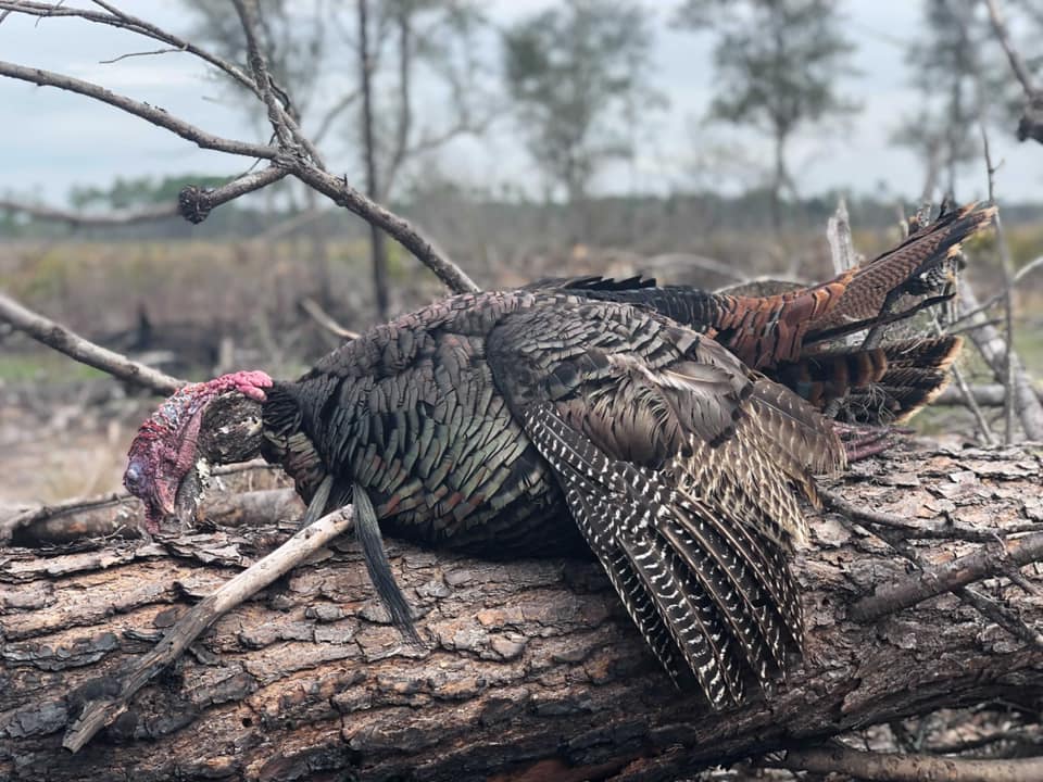 Florida Chapter Gobblers & Garbage Initiative