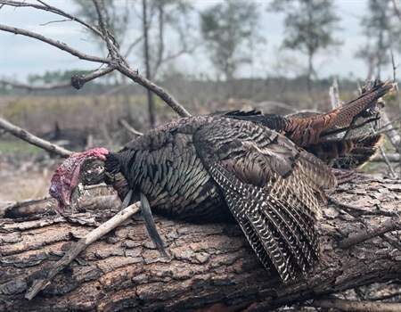 Florida Chapter Gobblers & Garbage Initiative