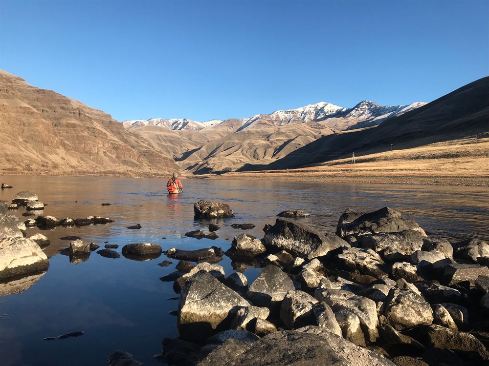 Snake River Salmon, Steelhead Conservation Plan Unveiled by Idaho Congressman