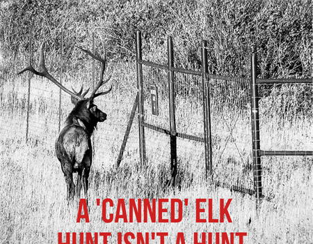 New England BHA Continues Work to Prohibit Captive Hunting with Rhode Island Bill