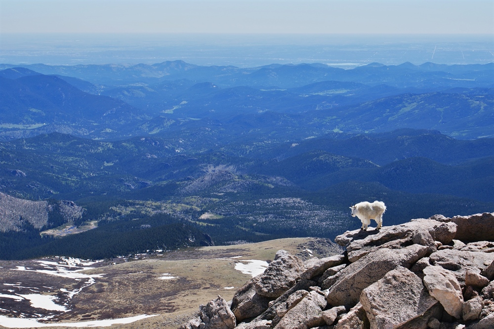 Public Land Conservation Gains Momentum in 2021