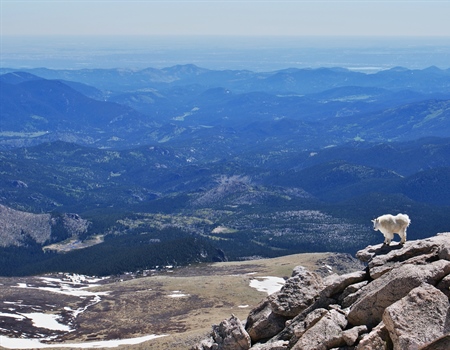 Public Land Conservation Gains Momentum in 2021