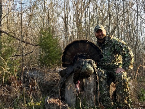 East Tennessee Mountain Bird
