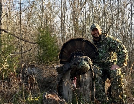 East Tennessee Mountain Bird