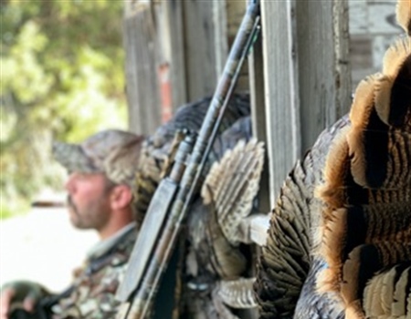 An OK Turkey Trip