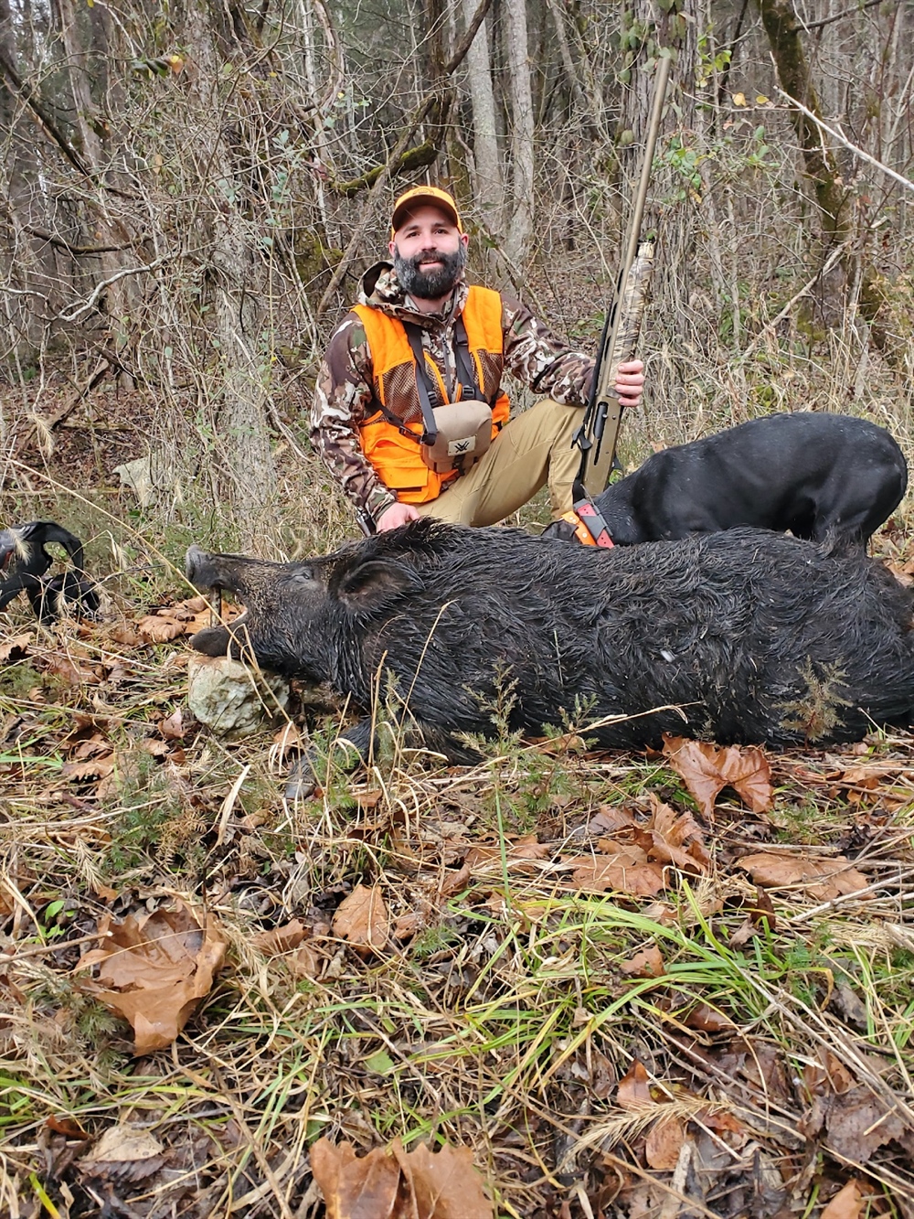 Hog Hunt
