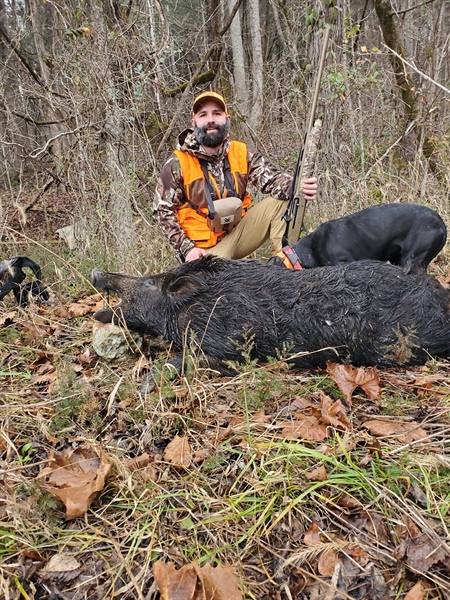 Hog Hunt