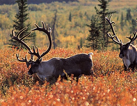 Administration Pledges to Conserve Public Lands and Waters, Heed Stakeholder Input