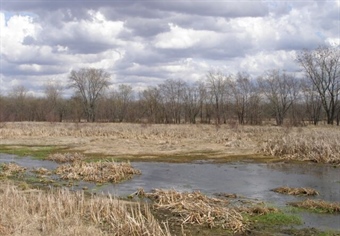 Oppose the Repeal of Indiana’s State Regulated Wetlands Law