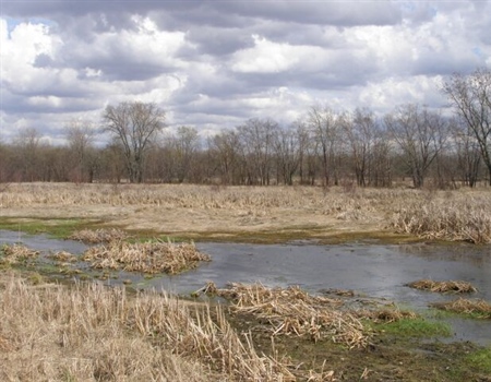 Oppose the Repeal of Indiana’s State Regulated Wetlands Law