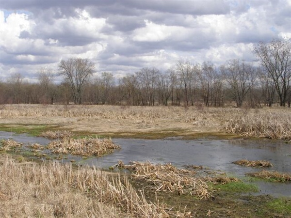 Oppose the Repeal of Indiana’s State Regulated Wetlands Law