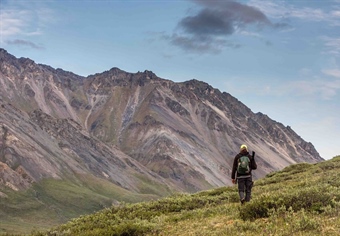 Arctic Refuge Development Delayed Under Administration Order